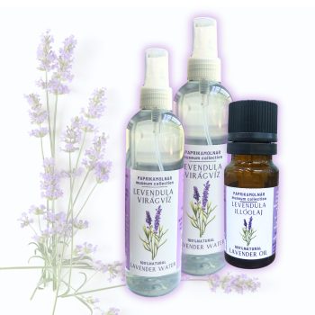 Paprika Múzeum Kollekció